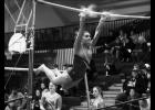 Madison Albers went through her routine on the bars for the Wolves at home last week.